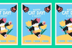 Pawradise Bubbly Display Typeface