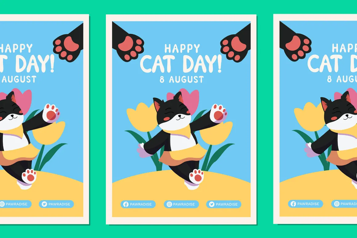 Pawradise Bubbly Display Typeface
