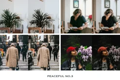 Peaceful Lightroom Presets Mobile