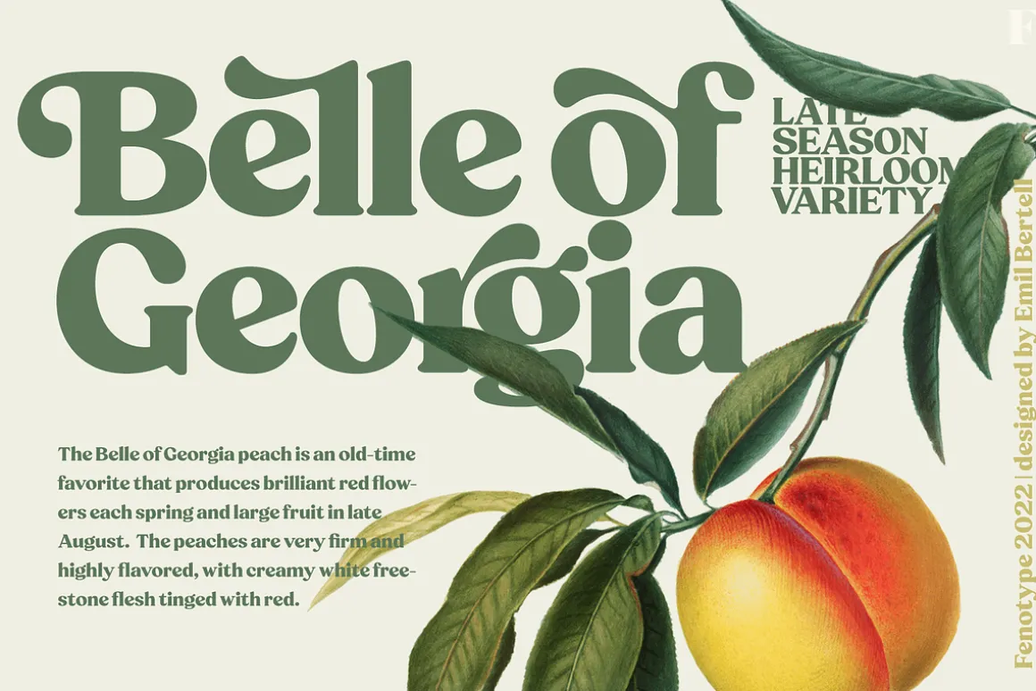 Peach Crush Serif Typeface