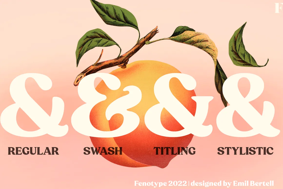 Peach Crush Serif Typeface
