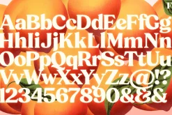 Peach Crush Serif Typeface