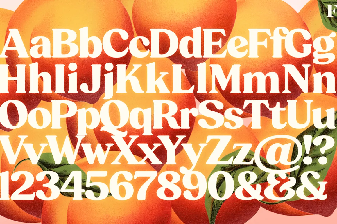 Peach Crush Serif Typeface