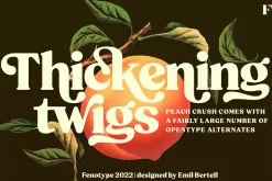 Peach Crush Serif Typeface