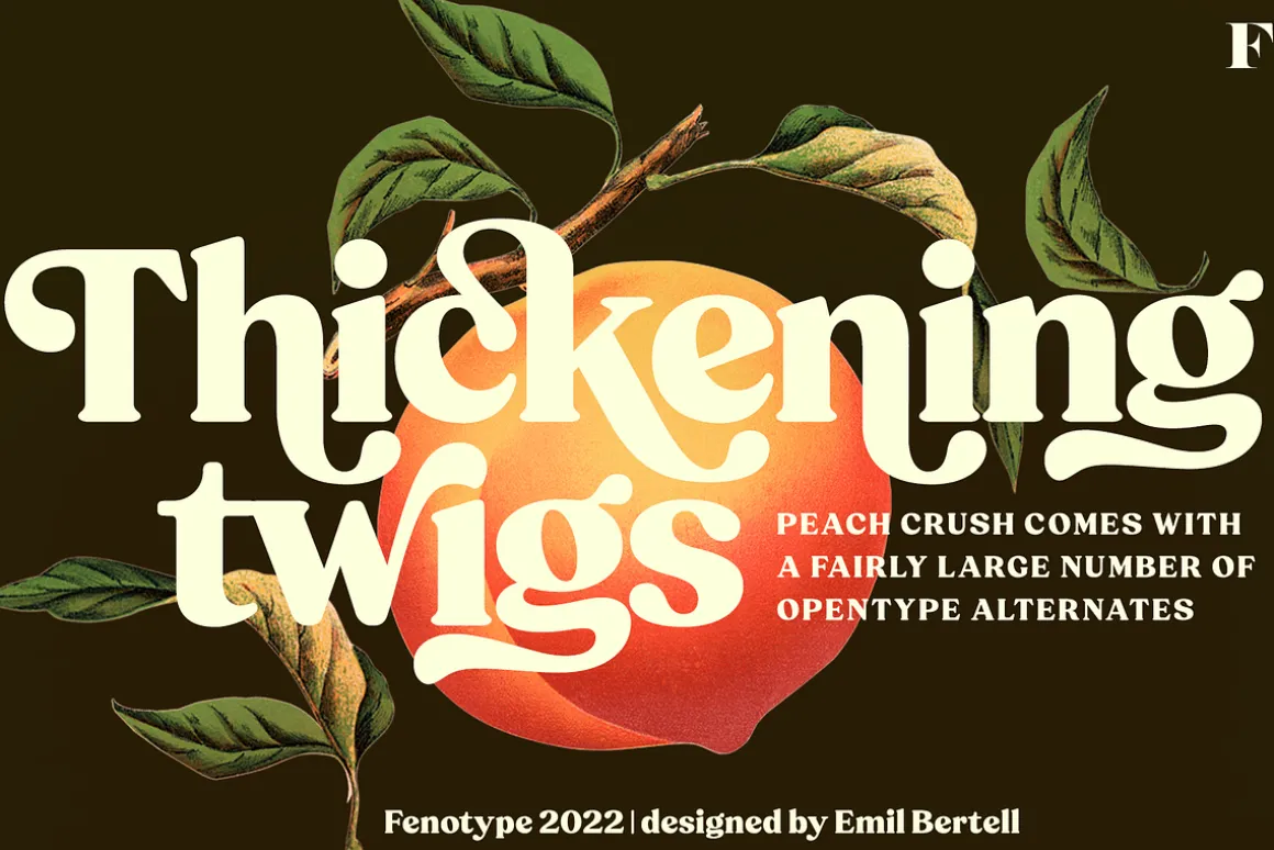 Peach Crush Serif Typeface