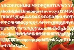 Peach Crush Serif Typeface