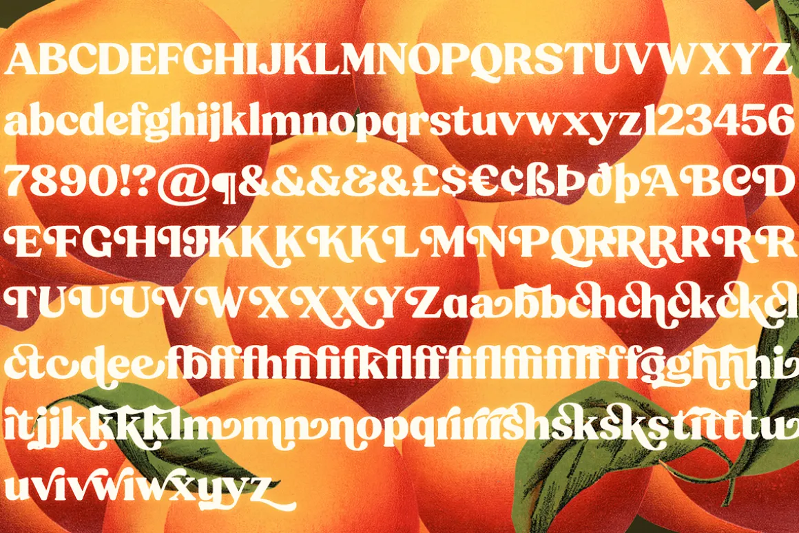 Peach Crush Serif Typeface
