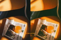 PEACHY | PRESETS LR MOBILE & DESKTOP