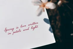 Pearl Fleur – Elegant Script Font