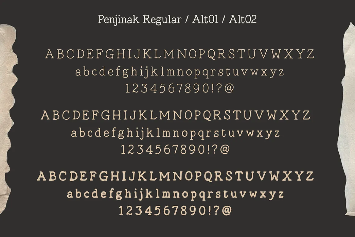 Penjinak Typewriter