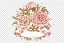 ✿ Peonies. Vector set ✿
