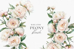 Peony Blush - Watercolor