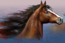 Perfect Oils. 24 Photoshop Brushes