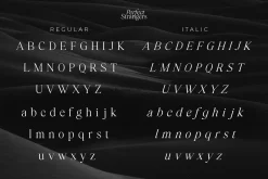 Perfect Strangers I Elegant Serif