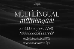 Perfect Strangers I Elegant Serif