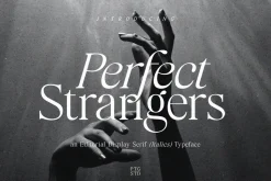 Perfect Strangers I Elegant Serif