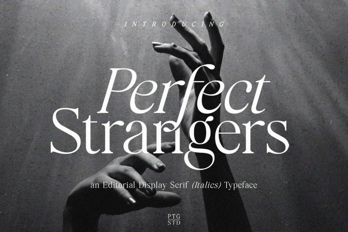 Perfect Strangers I Elegant Serif