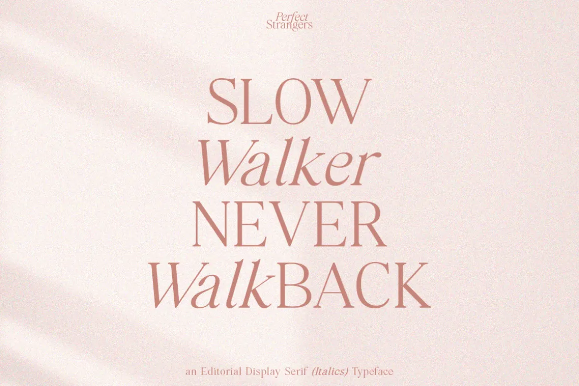 Perfect Strangers I Elegant Serif