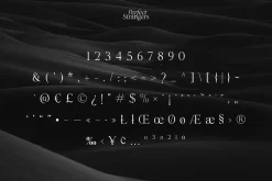 Perfect Strangers I Elegant Serif