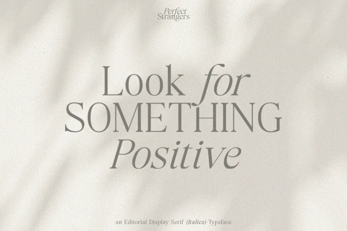 Perfect Strangers I Elegant Serif