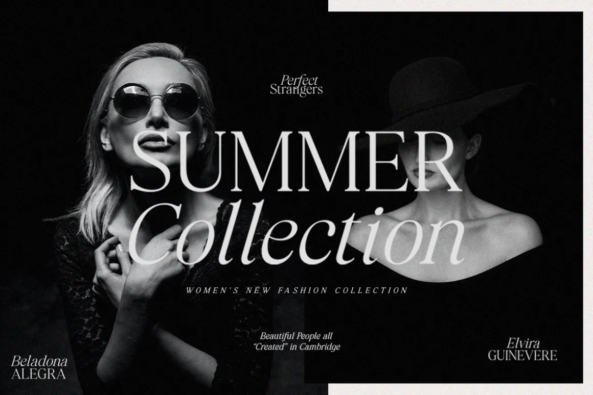 Perfect Strangers I Elegant Serif
