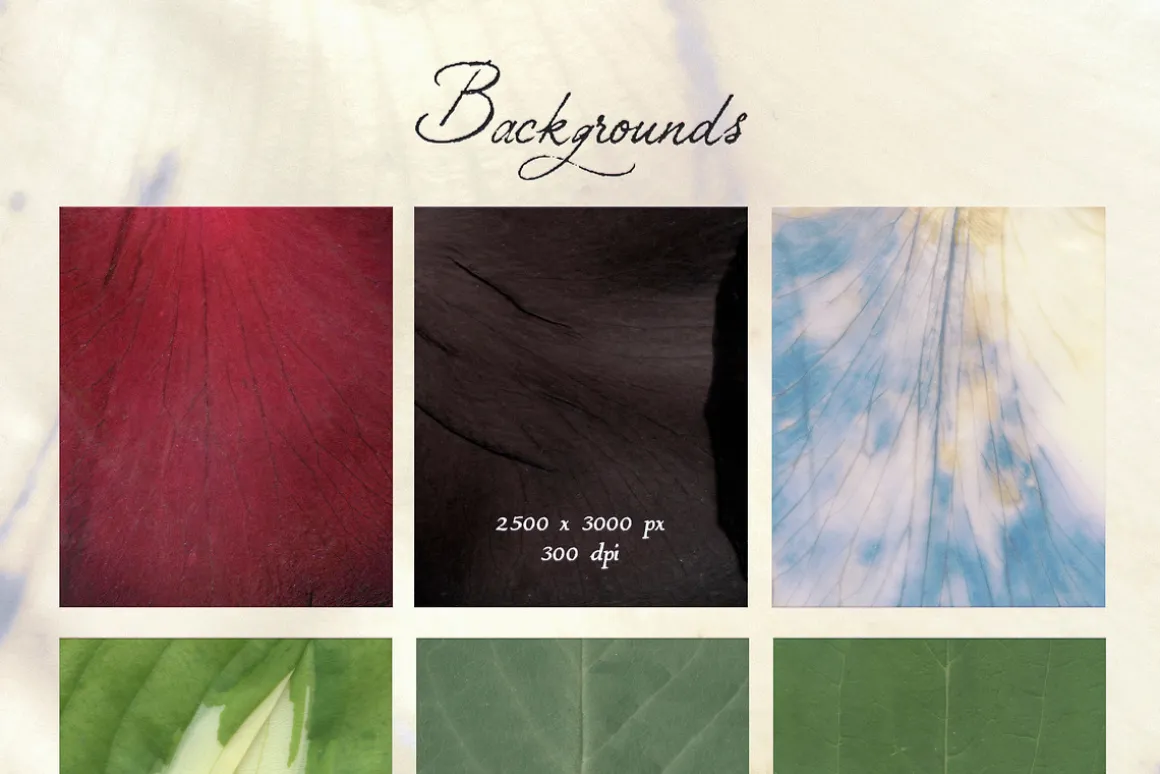 Petals Garden Collage Kit