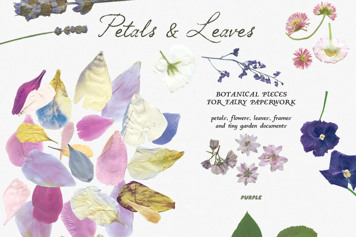 Petals Garden Collage Kit