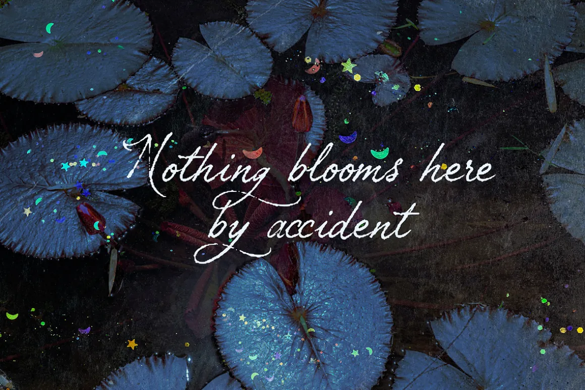 Petal Yonder: Airy Script Font