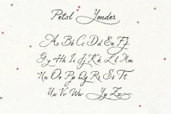 Petal Yonder: Airy Script Font
