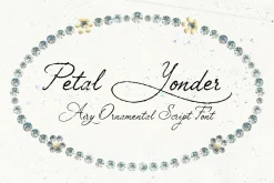 Petal Yonder: Airy Script Font