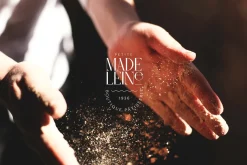 Petite Madeleine | Full Brand Pack