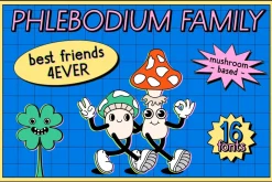 Phlebodium sans serif font 80s 90s