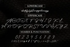 Photograph Signature Logo fonts
