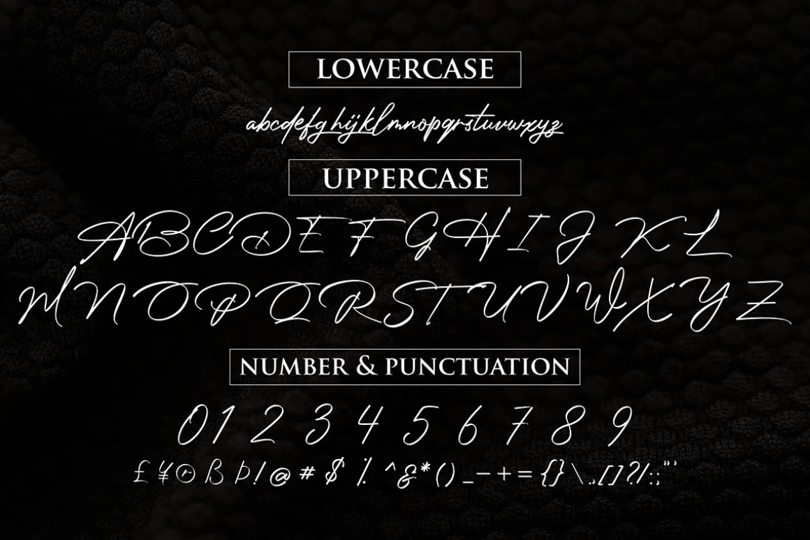 Photograph Signature Logo fonts