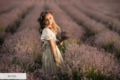 Photoshop Actions - Soft Matte