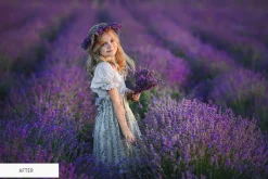 Photoshop Actions - Soft Matte
