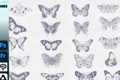 Photoshop Butterfly Stamp ClipStudio