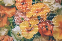 Pink Champagne Script