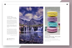 Pink Flower - Magazine Template