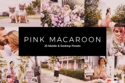 20 Pink Macaroon LR Presets
