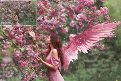 Pink wings photo overlays