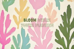 Pink Zebra Quirky Four-Font Family