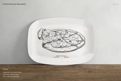 Plate Mockup Set