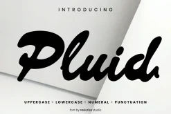Pluid a Script Font