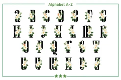Plumeria Monogram Color Fonts