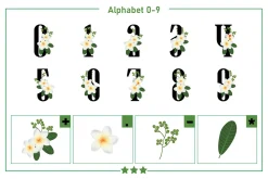 Plumeria Monogram Color Fonts