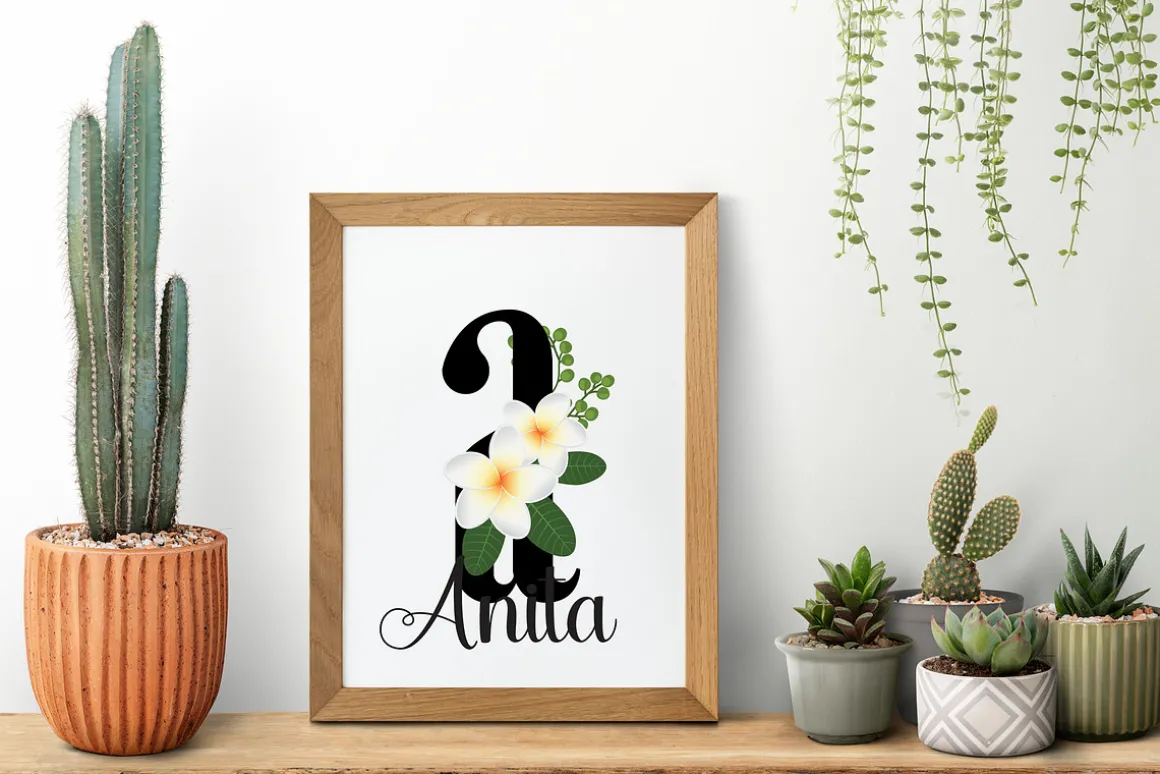 Plumeria Monogram Color Fonts