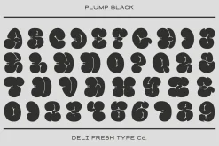 Plump: A Bubble Letter Font