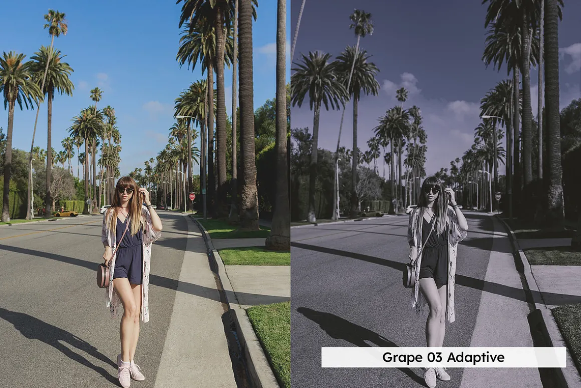 20 Plum Royale Lightroom Presets and