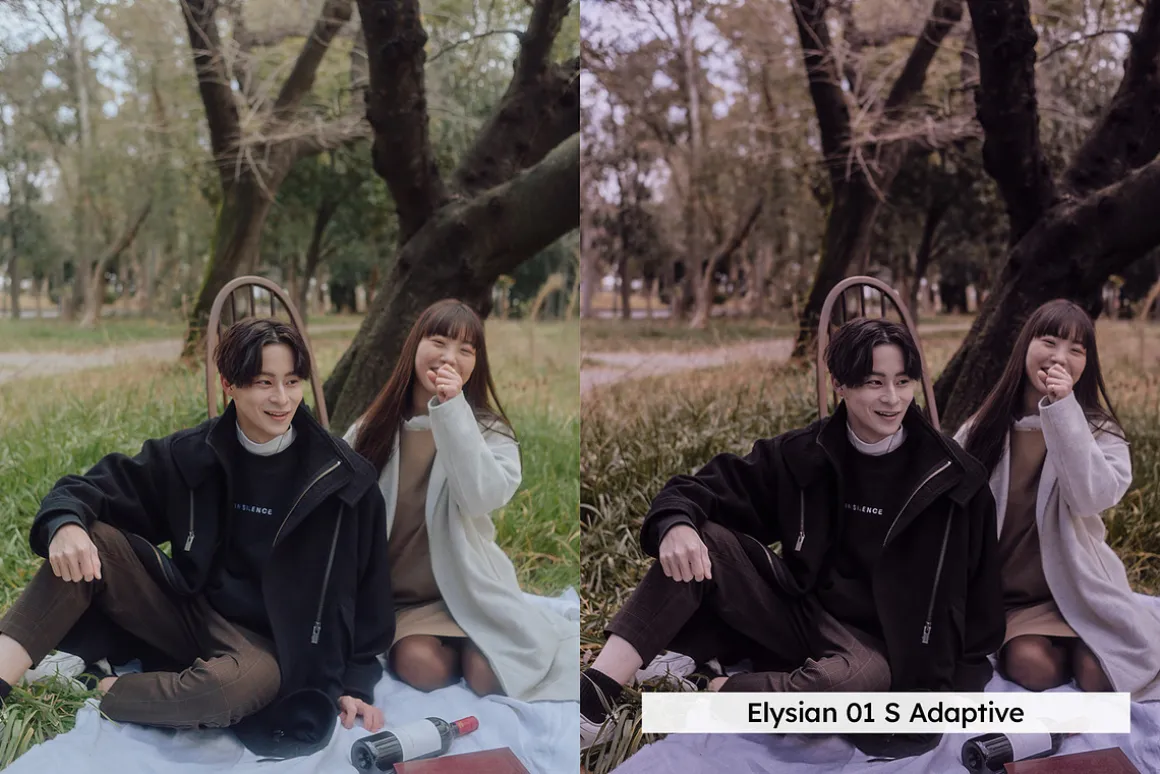 20 Plum Royale Lightroom Presets and
